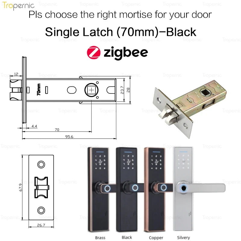 S7b501588a93548a58928b0020c2baa66g